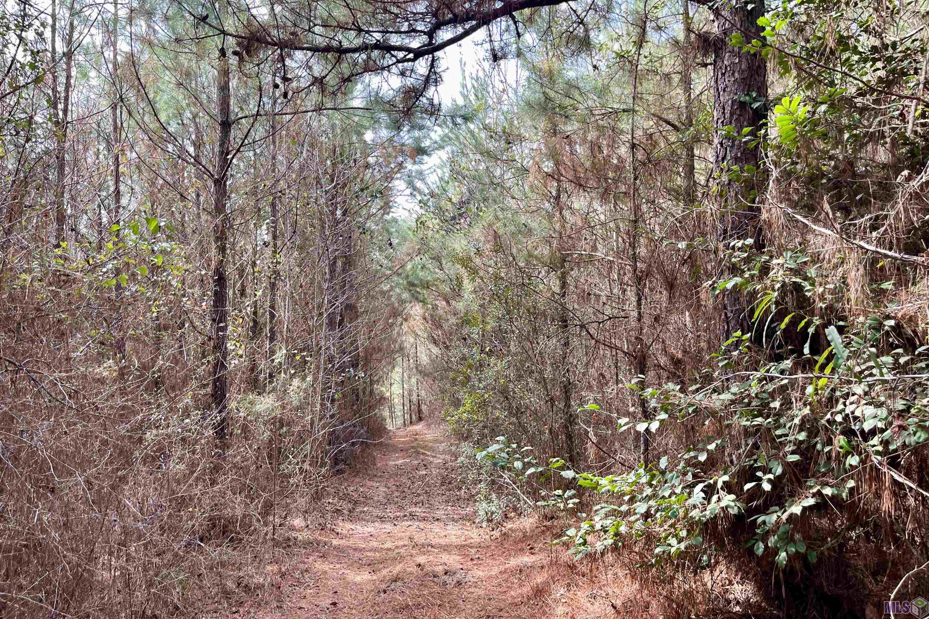 2 Arkansas Road Marion, LA 71260 - Photo 11 of 17