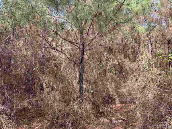 $249,900 | 2 Arkansas Road, Marion, LA 71260