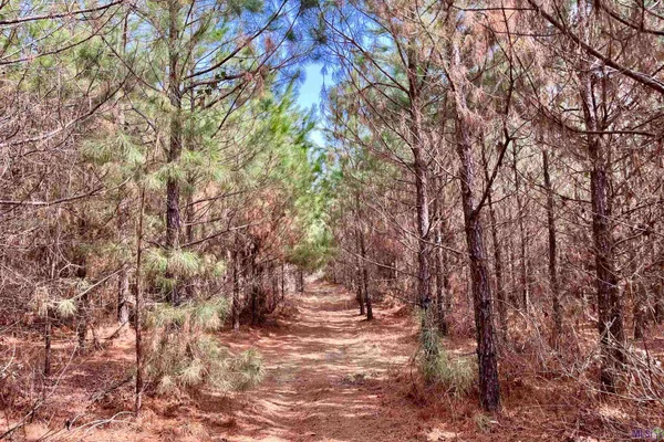 $249,900 | 2 Arkansas Road, Marion, LA 71260