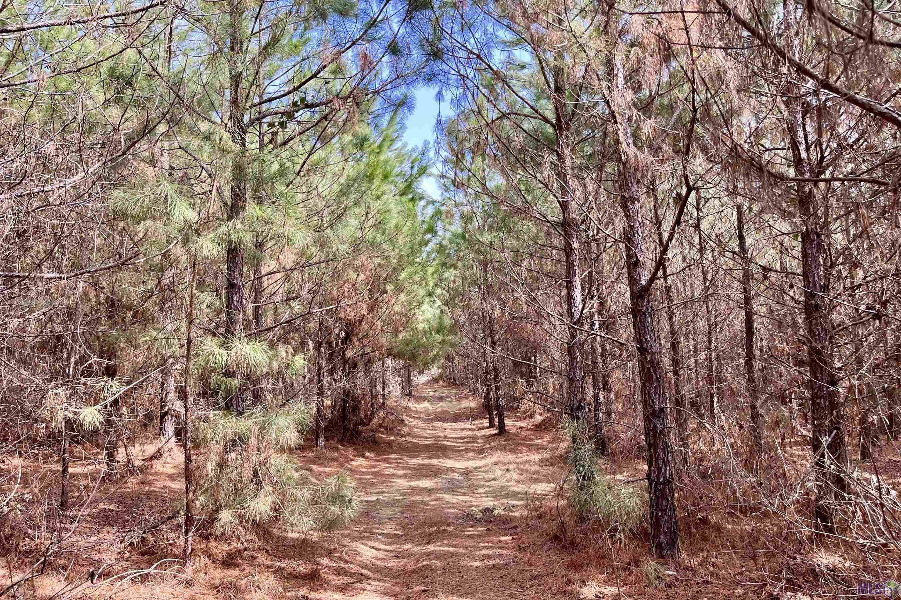 2 Arkansas Road Marion, LA 71260 - Photo 14 of 17