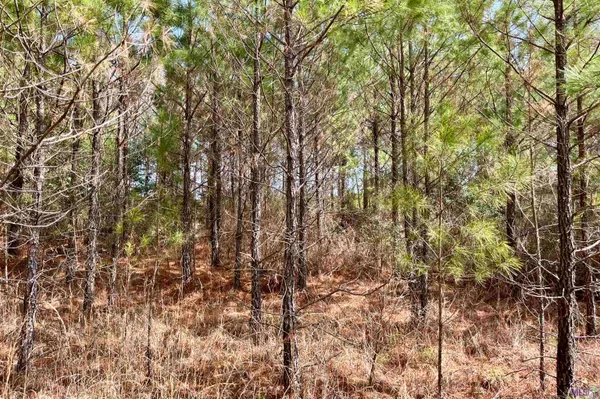 $249,900 | 2 Arkansas Road, Marion, LA 71260