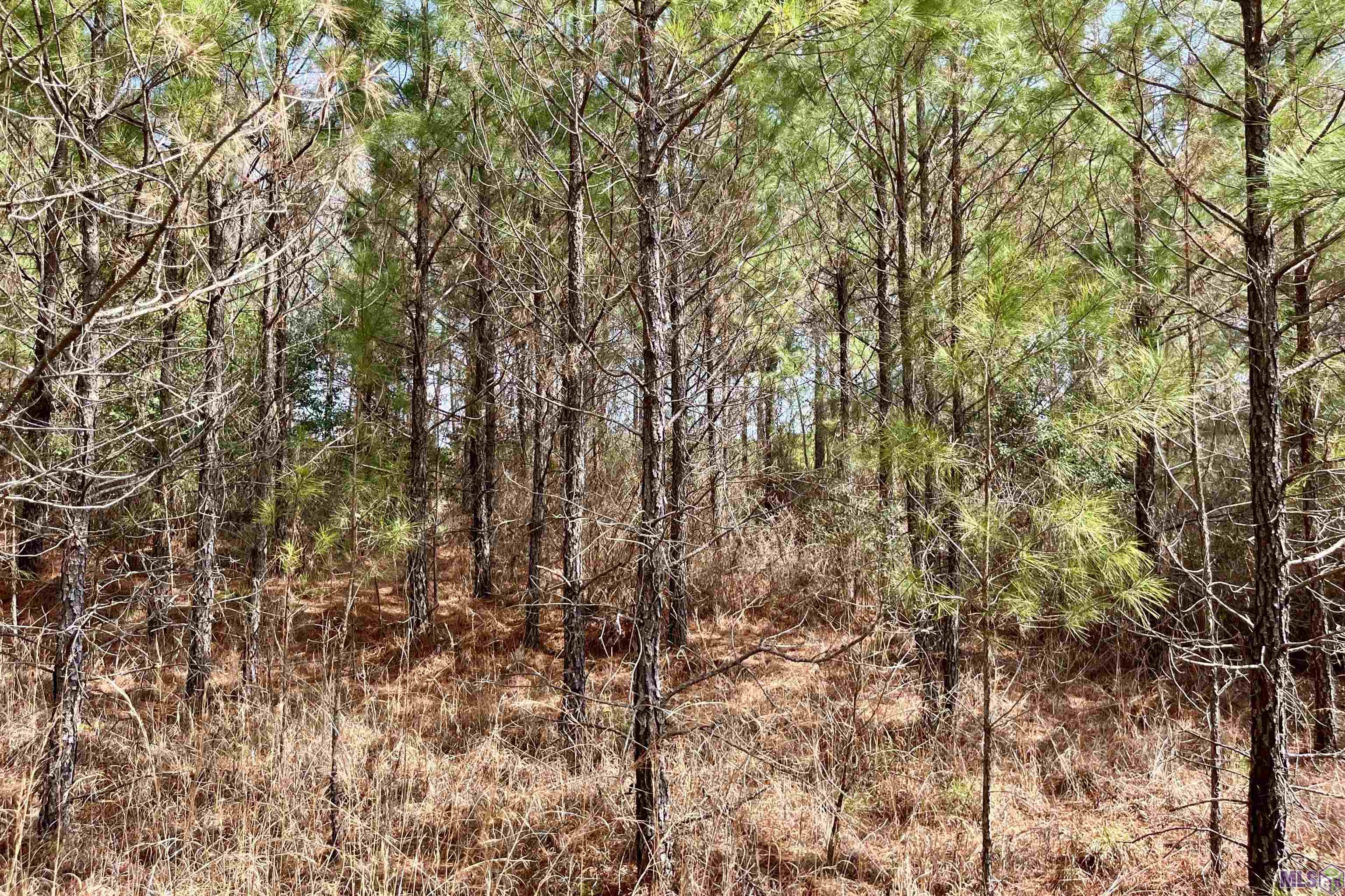 2 Arkansas Road Marion, LA 71260 - Photo 15 of 17