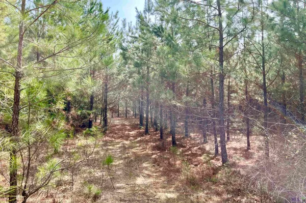 $249,900 | 2 Arkansas Road, Marion, LA 71260