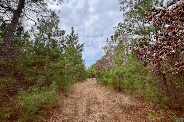 $249,900 | 2 Arkansas Road, Marion, LA 71260