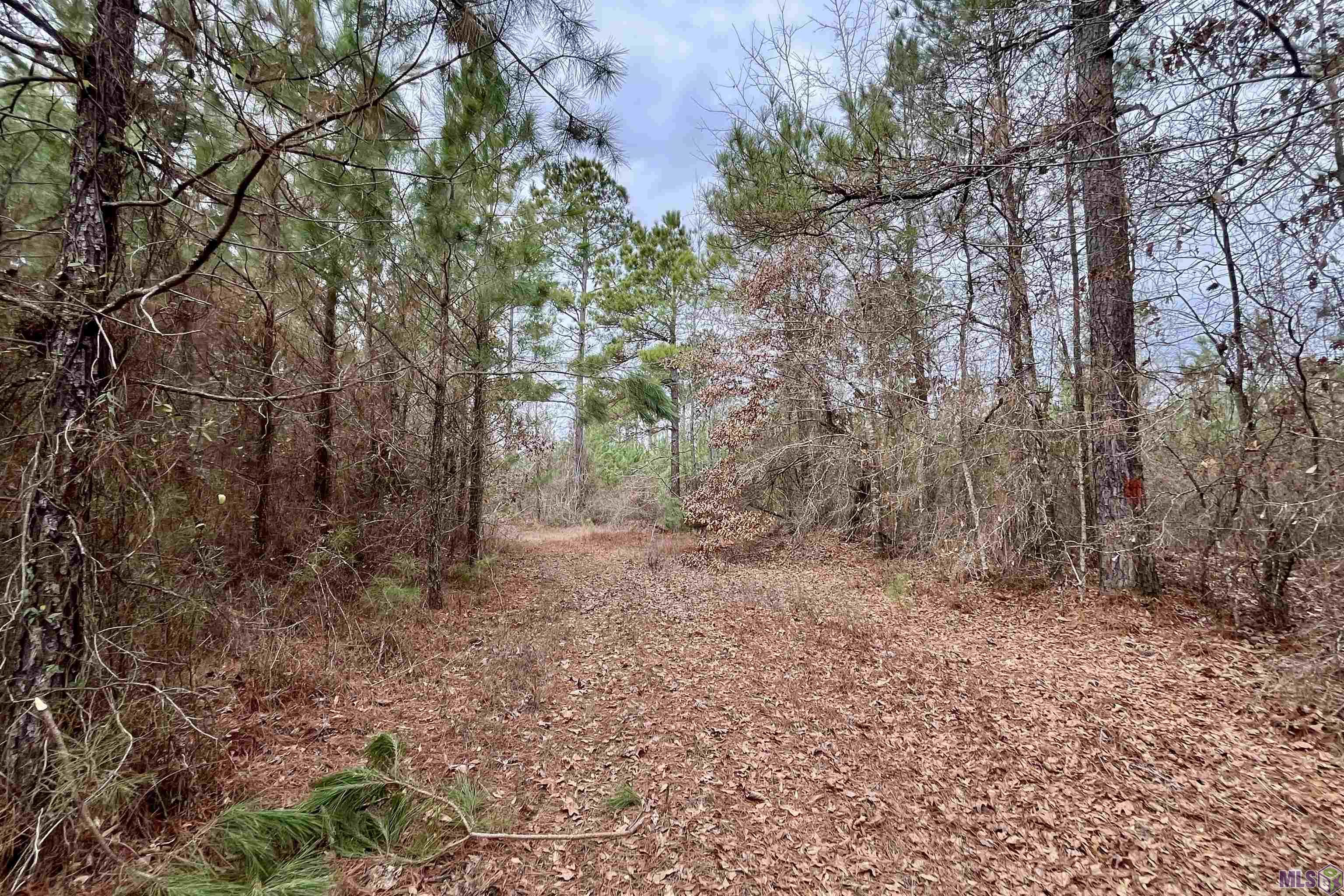 2 Arkansas Road Marion, LA 71260 - Photo 4 of 17