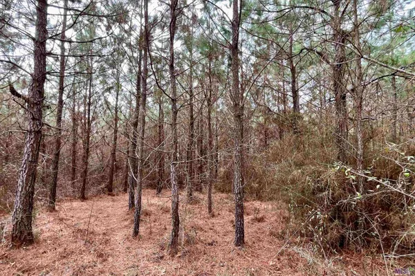 $249,900 | 2 Arkansas Road, Marion, LA 71260