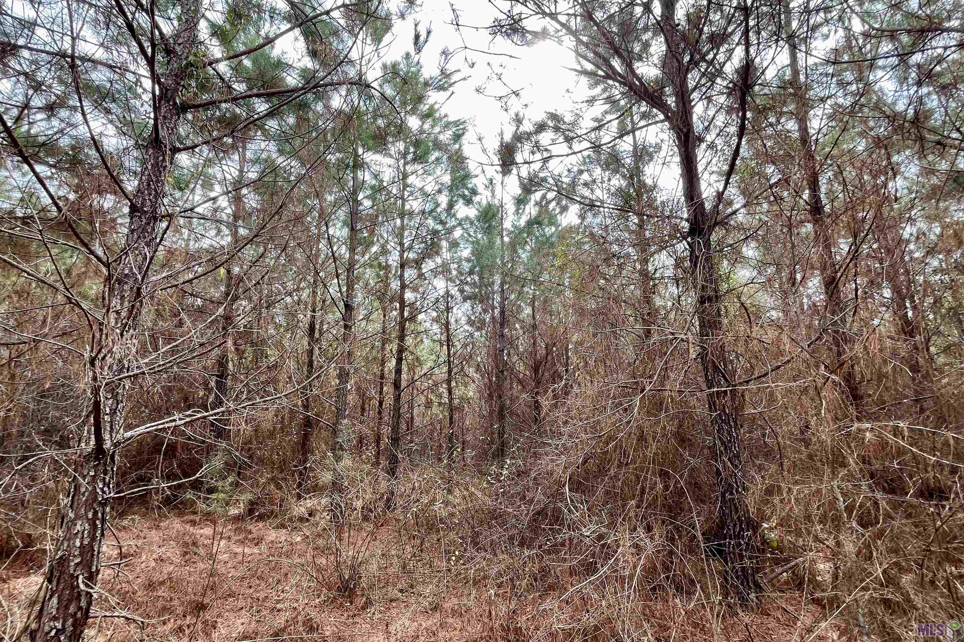 2 Arkansas Road Marion, LA 71260 - Photo 6 of 17