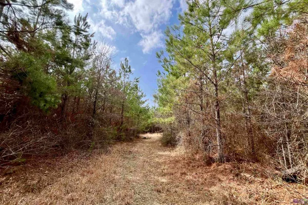 $249,900 | 2 Arkansas Road, Marion, LA 71260