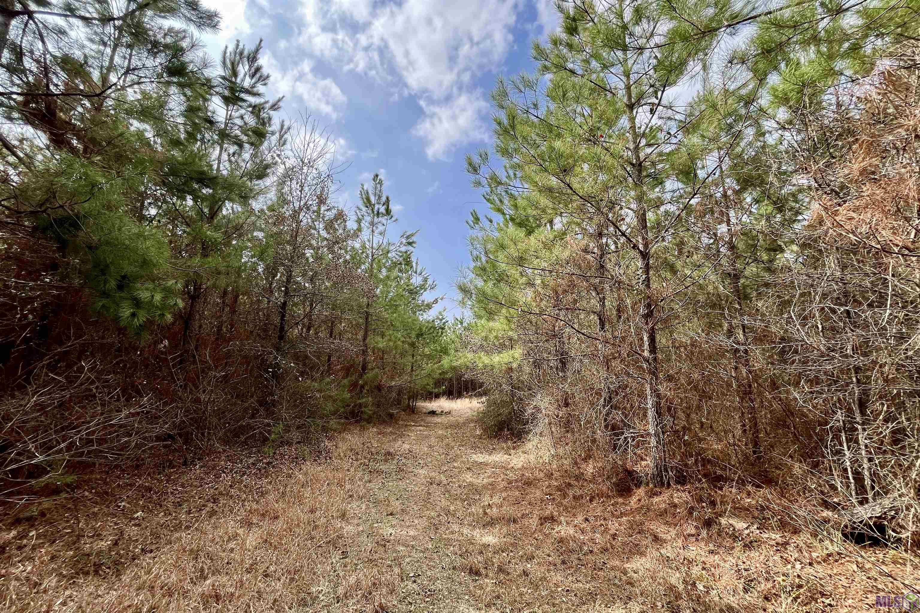 2 Arkansas Road Marion, LA 71260 - Photo 8 of 17