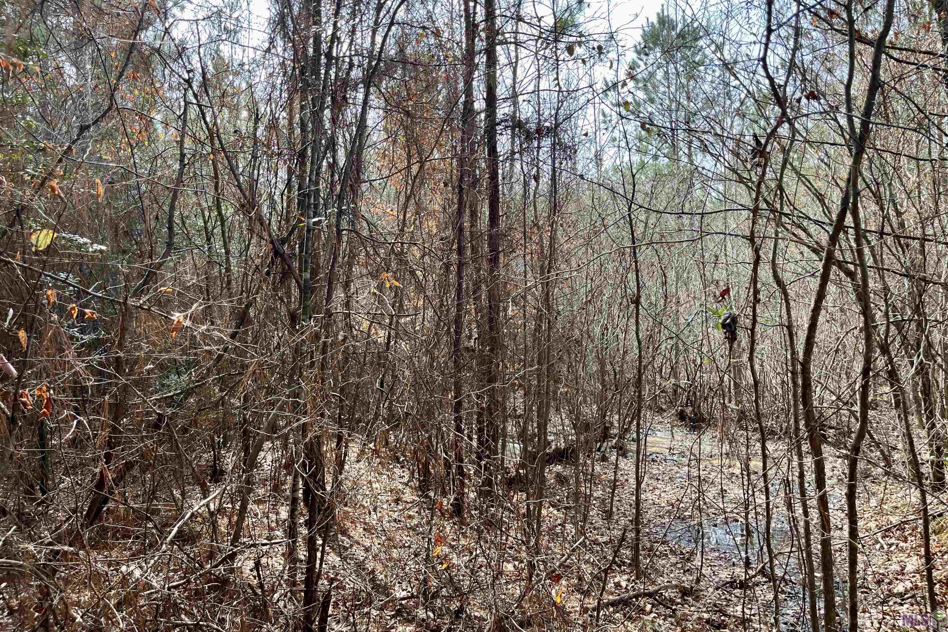 2 Arkansas Road Marion, LA 71260 - Photo 9 of 17