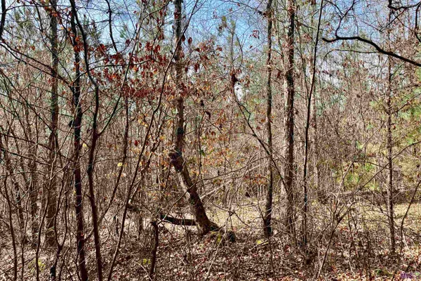 $249,900 | 2 Arkansas Road, Marion, LA 71260