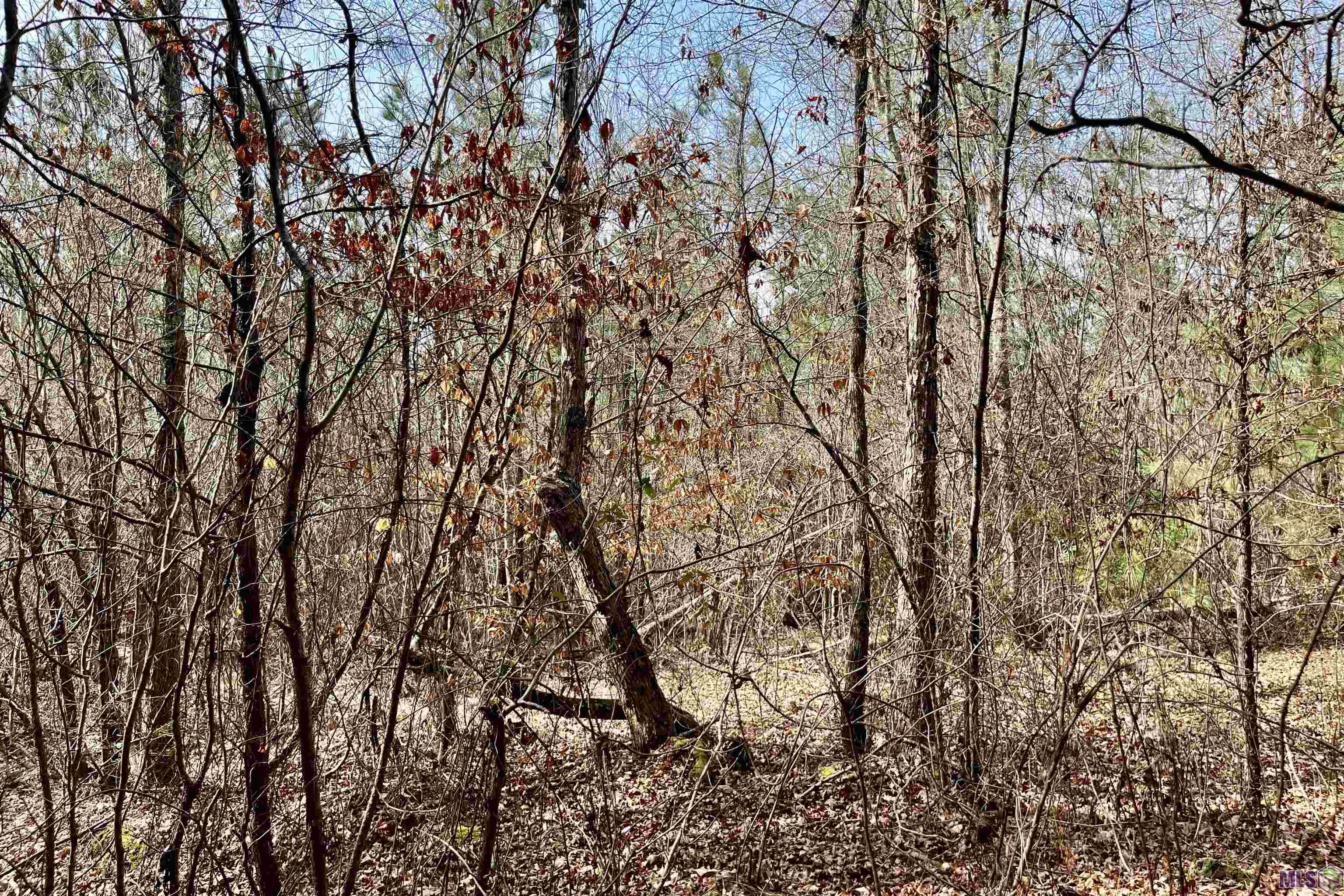 2 Arkansas Road Marion, LA 71260 - Photo 10 of 17