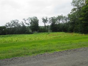 Welsh Road Callicoon, NY 12723 - Photo 1 of 1 Gallery Image 1