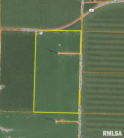 Sangamon Morgan County Road, Alexander, IL 62601