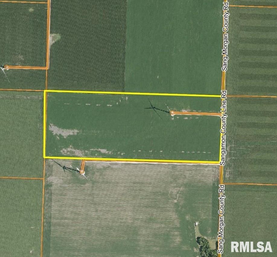 Sangamon Morgan County Road Alexander, IL 62601 - Photo 19 of 22