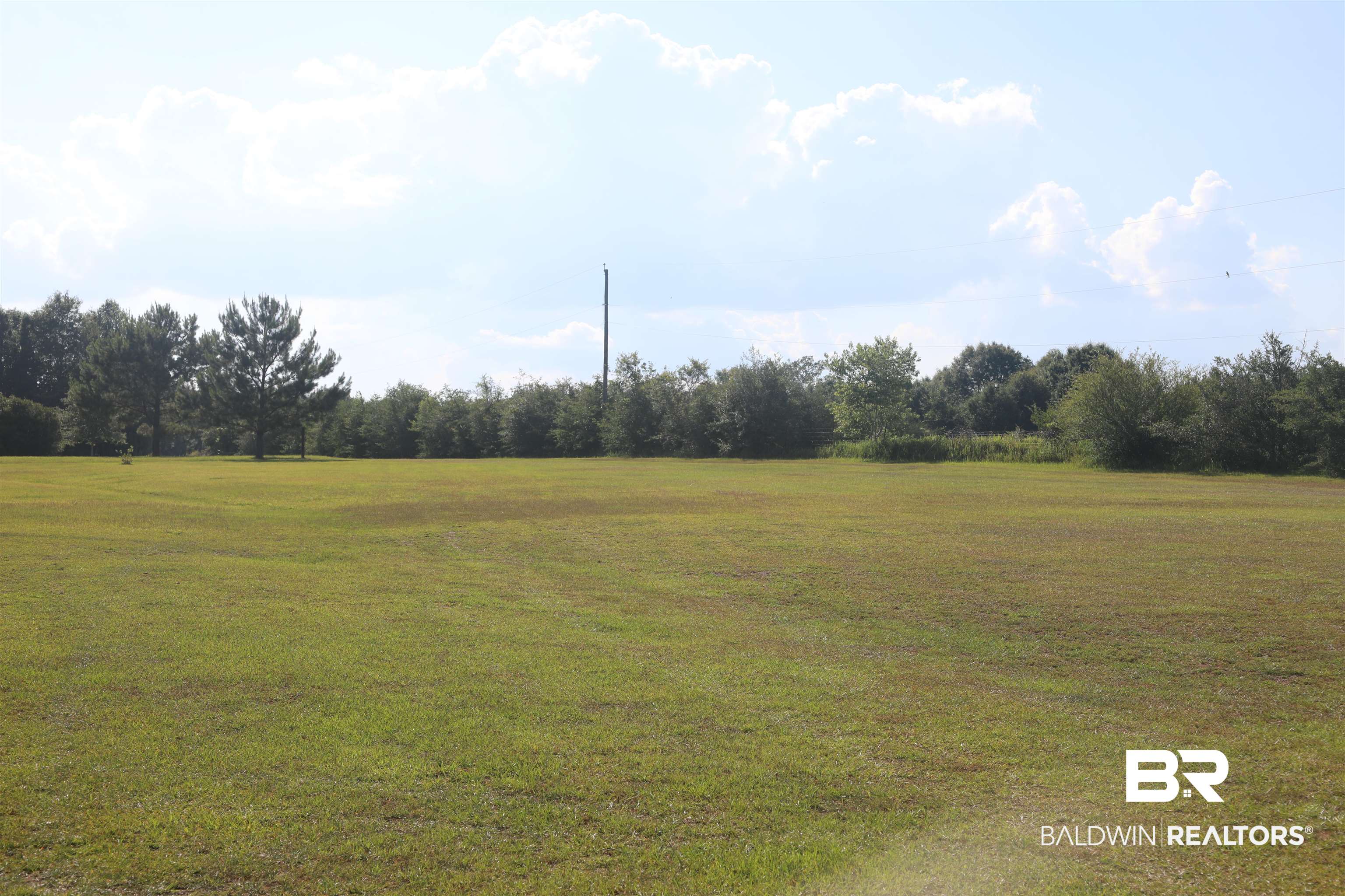 5110 South Albert Evans Road Wilmer, AL 36587 - Photo 31 of 38