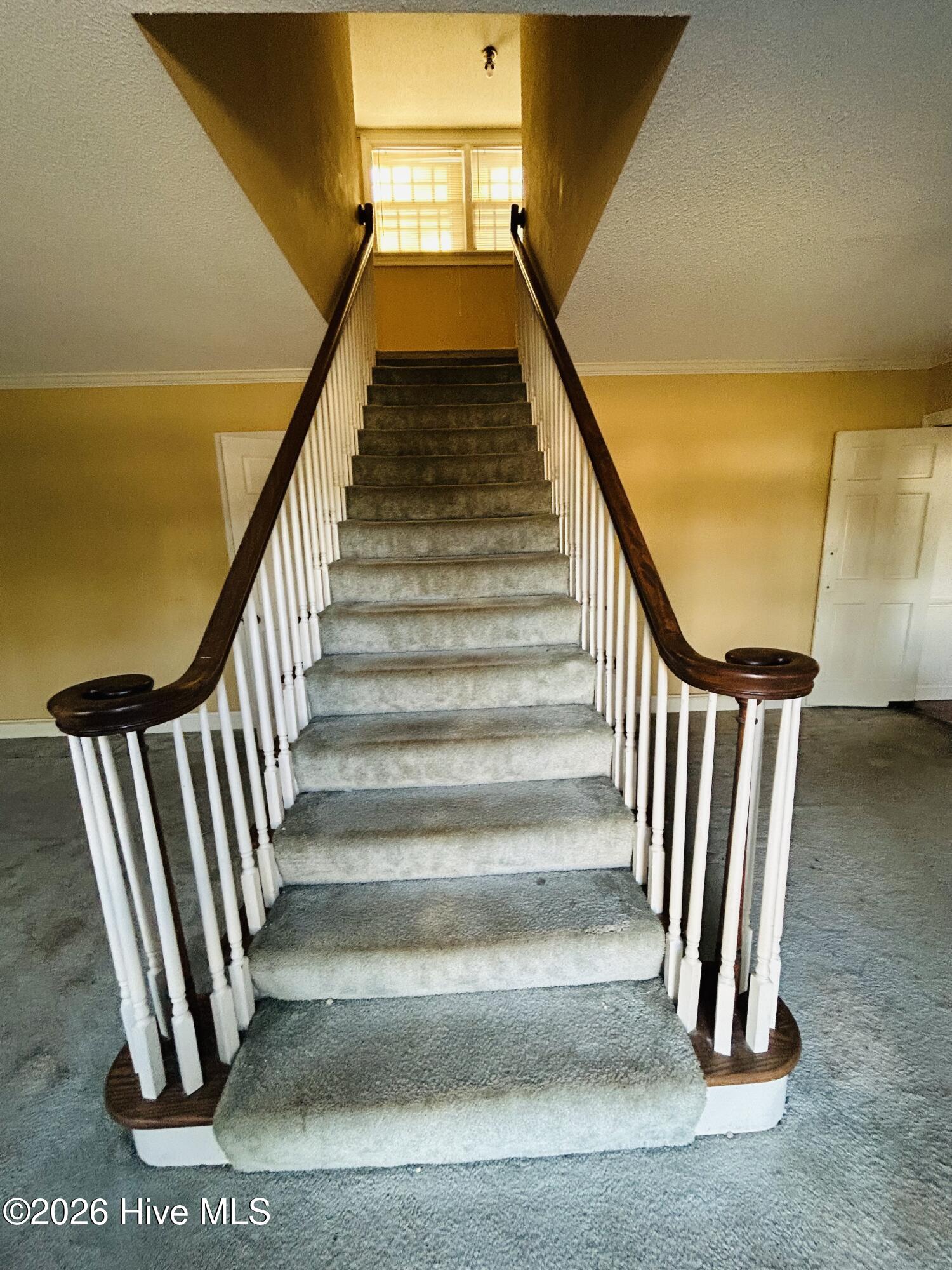 1802 Oxford Road Kinston, NC 28504 - Photo 8 of 24 IMG_9976