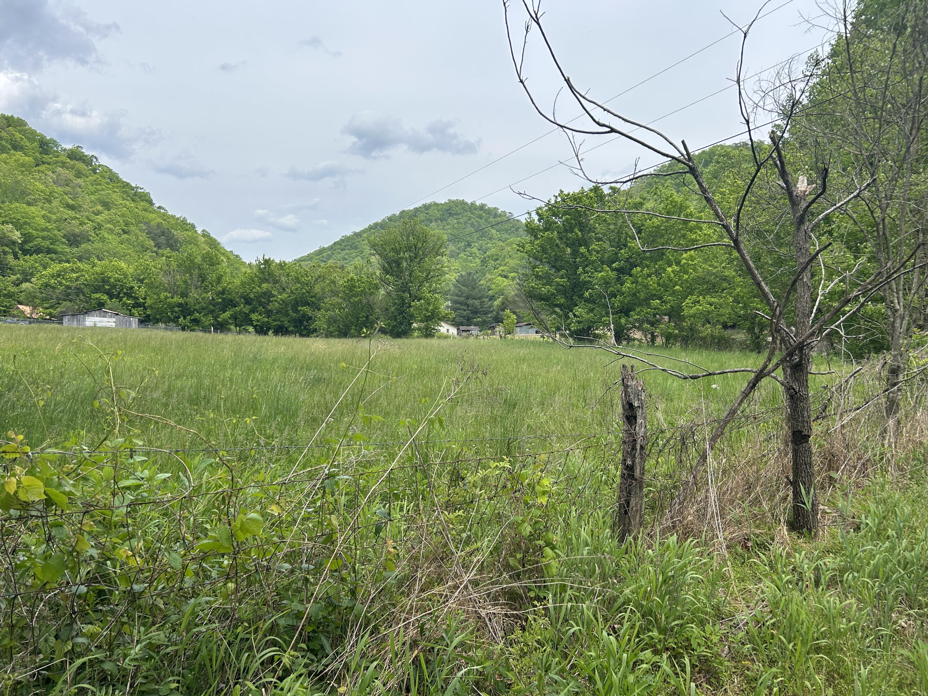 0 Jacks Creek Road Oneida, KY 40972 - Photo 4 of 7 (Upload-from-mobile-1778091253)IMG_5628