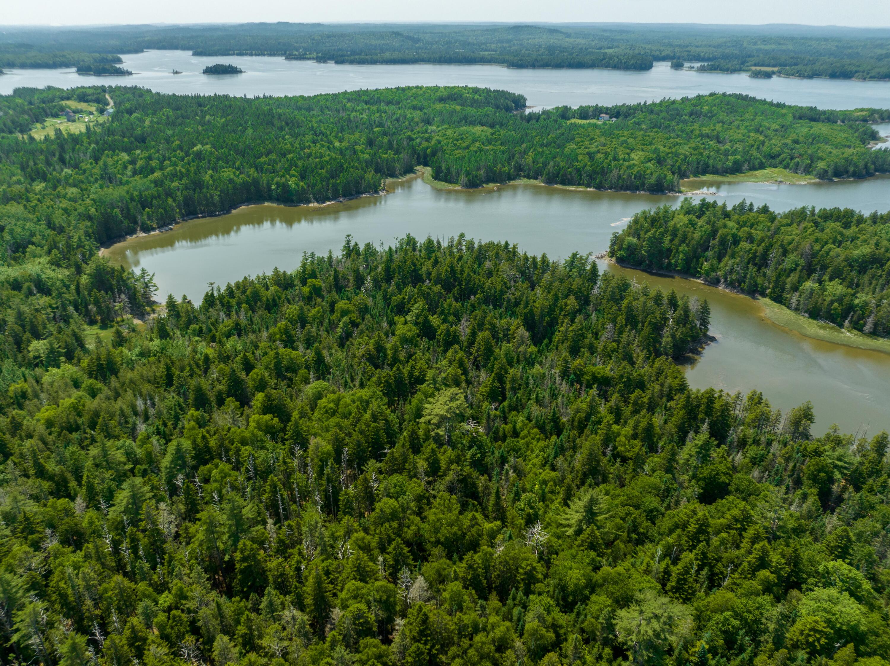 40.4 Timber Cove Road Lubec, ME 04652 - Photo 1 of 27 Lot40.4