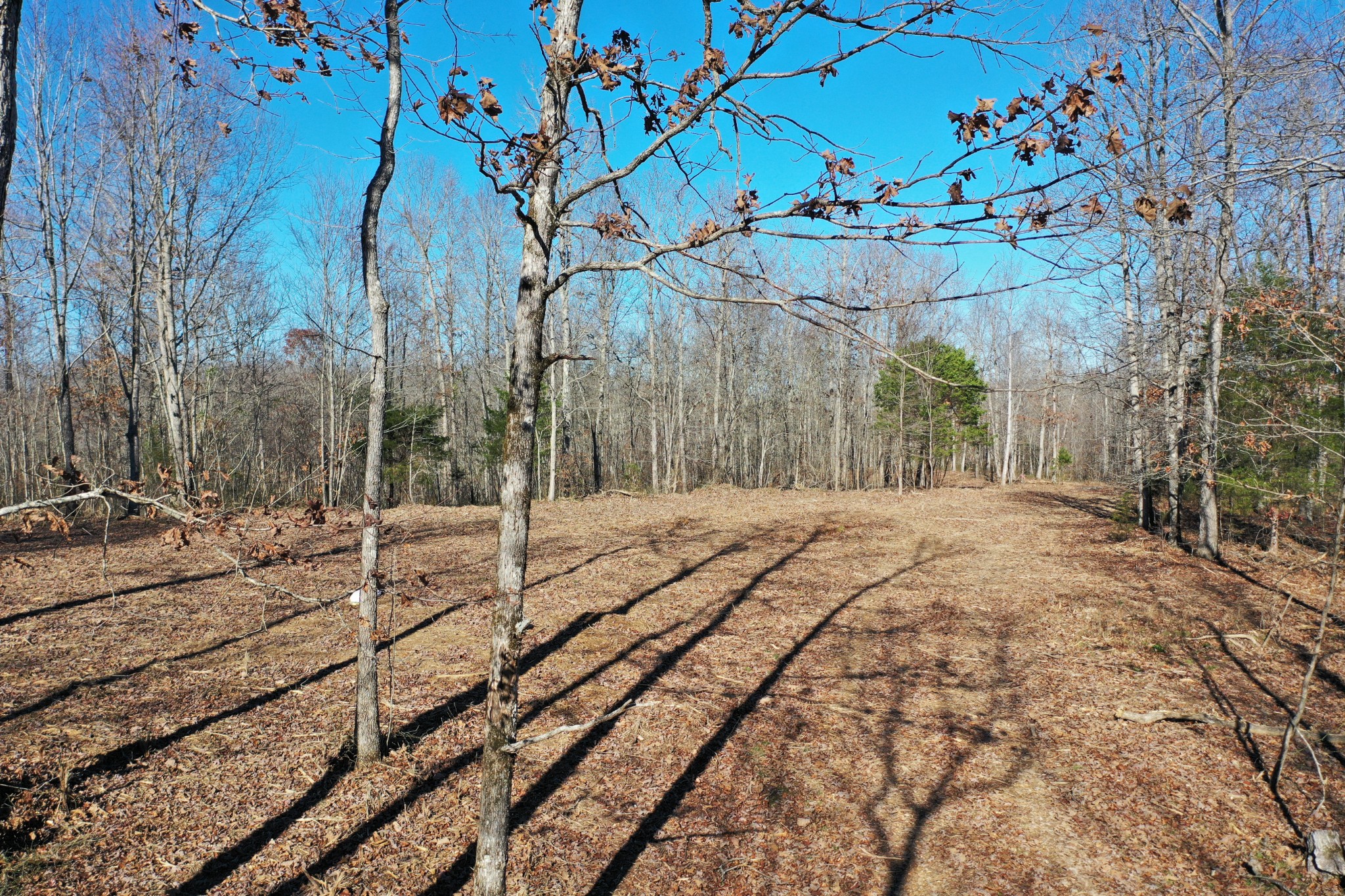 0 Bell Branch Road Nunnelly, TN 37137 - Photo 11 of 22 a view of a backyard of the house