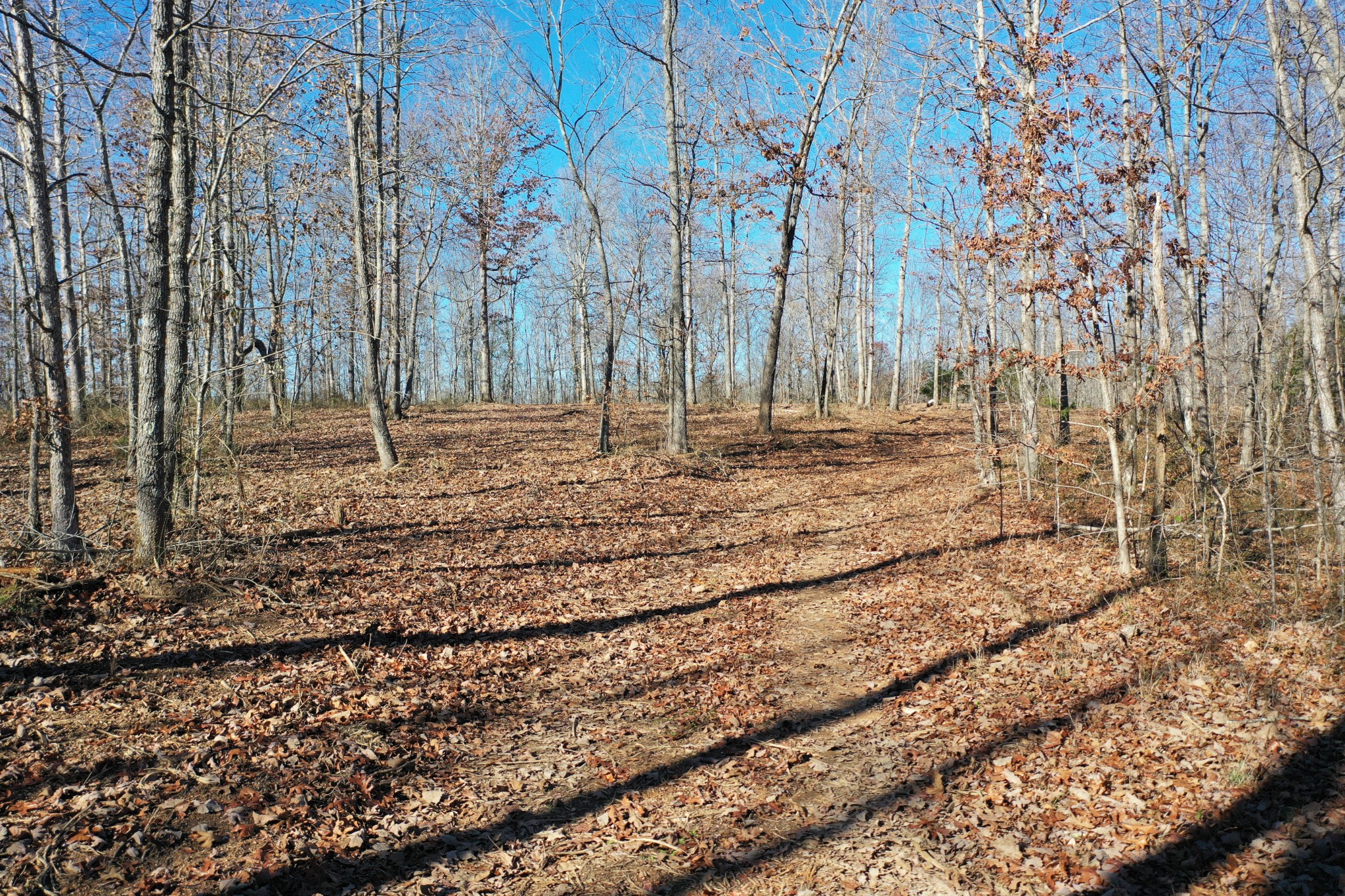 0 Bell Branch Road Nunnelly, TN 37137 - Photo 13 of 22 a view of a backyard of the house