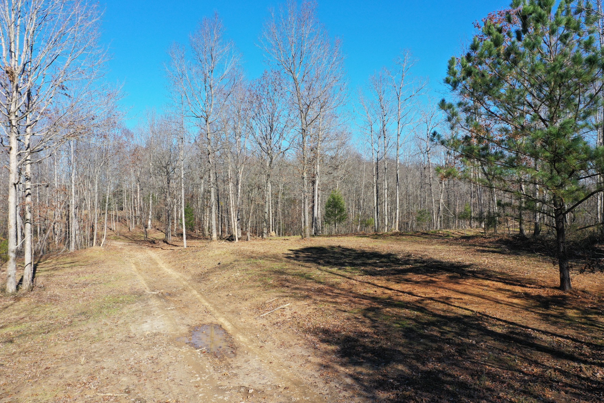 0 Bell Branch Road Nunnelly, TN 37137 - Photo 14 of 22 a view of a backyard of a house