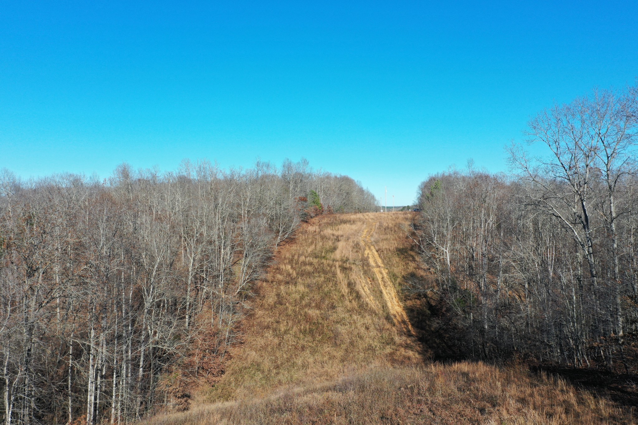 0 Bell Branch Road Nunnelly, TN 37137 - Photo 15 of 22 a view of a dry yard with trees and bushes