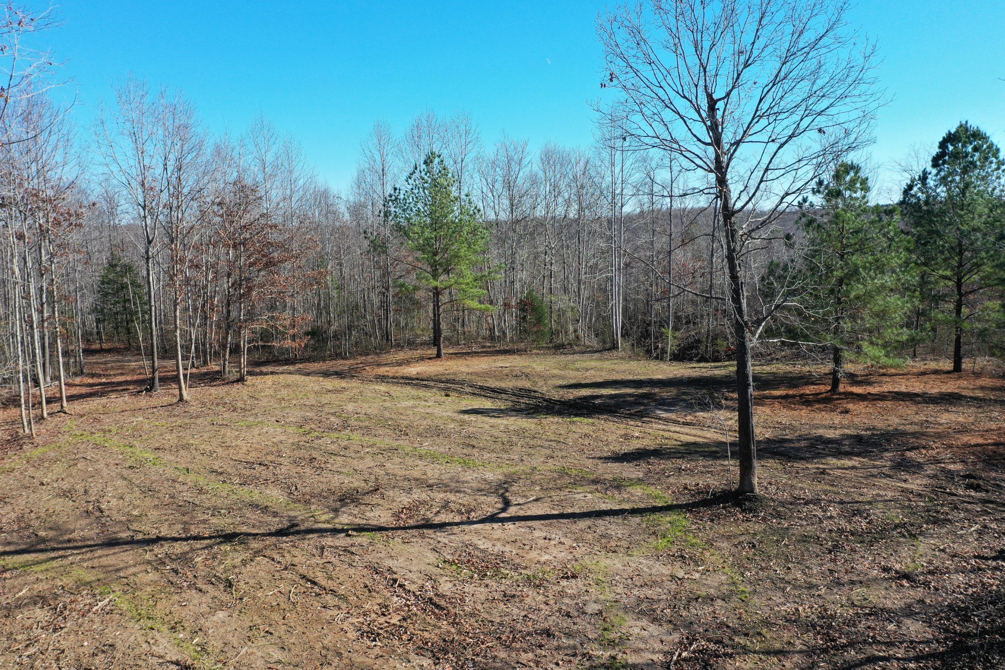 0 Bell Branch Road Nunnelly, TN 37137 - Photo 16 of 22 a backyard of a house with lots of green space