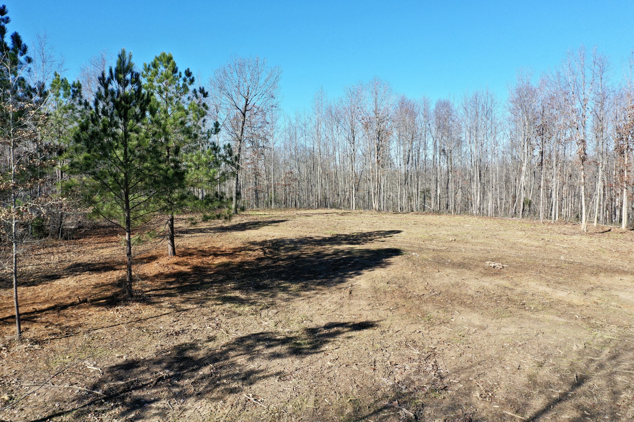0 Bell Branch Road Nunnelly, TN 37137 - Photo 17 of 22 a view of a yard with trees in the background