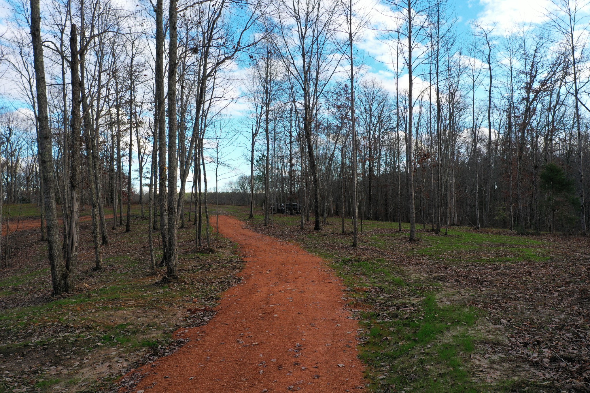 0 Bell Branch Road Nunnelly, TN 37137 - Photo 20 of 22 a view of backyard with green space
