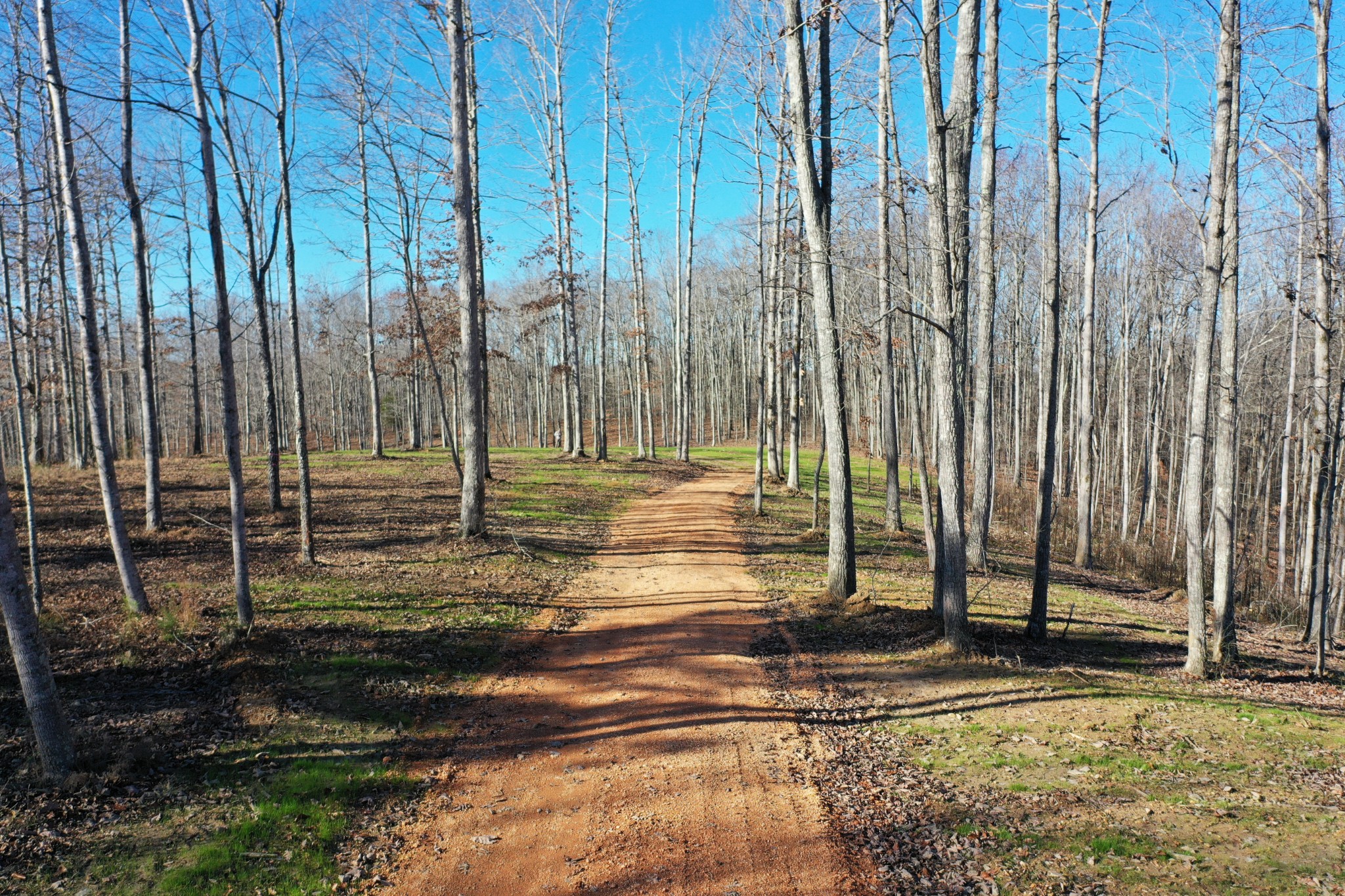 0 Bell Branch Road Nunnelly, TN 37137 - Photo 2 of 22 a view of a backyard with a fence