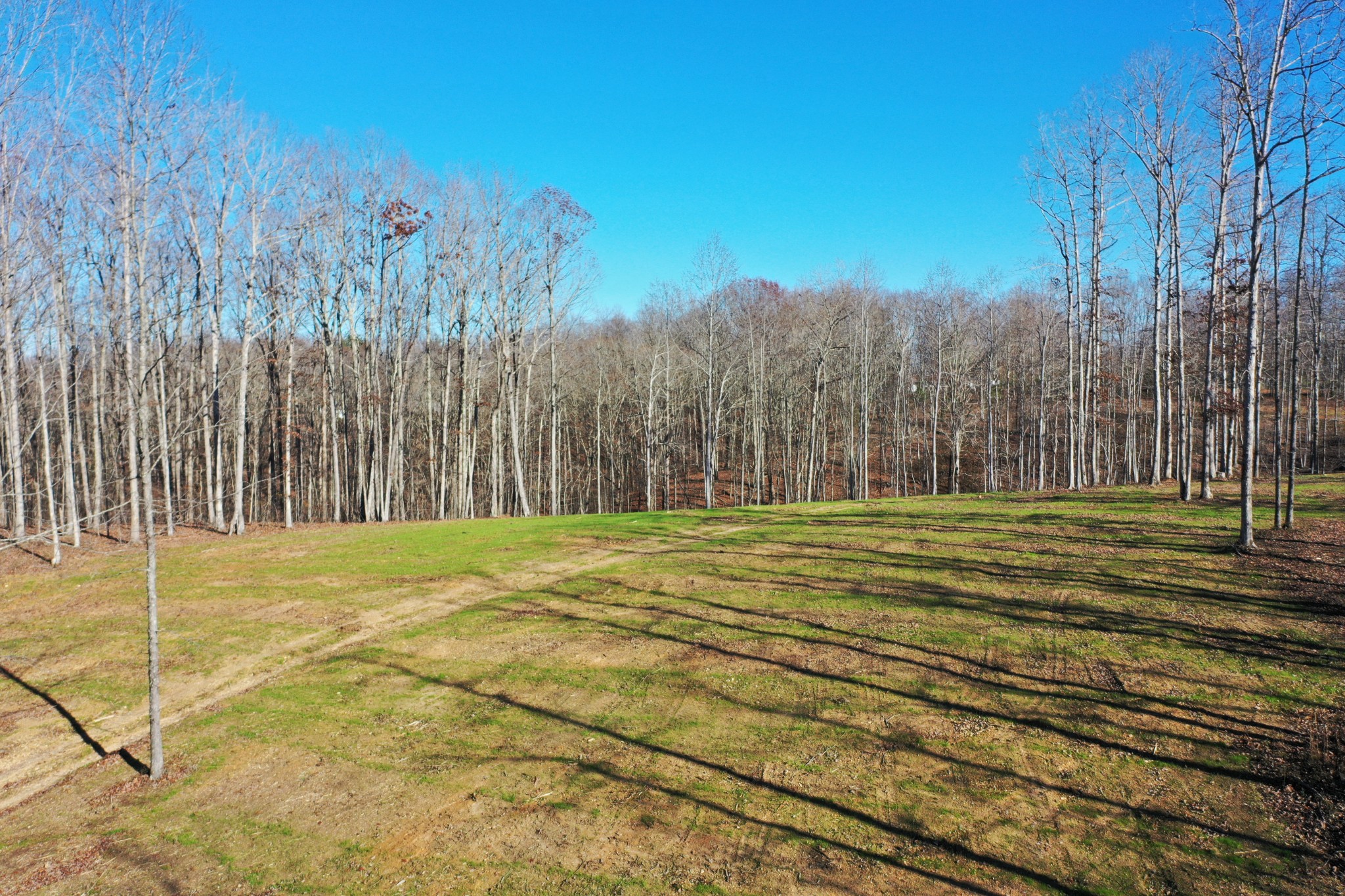 0 Bell Branch Road Nunnelly, TN 37137 - Photo 4 of 22 a view of a yard