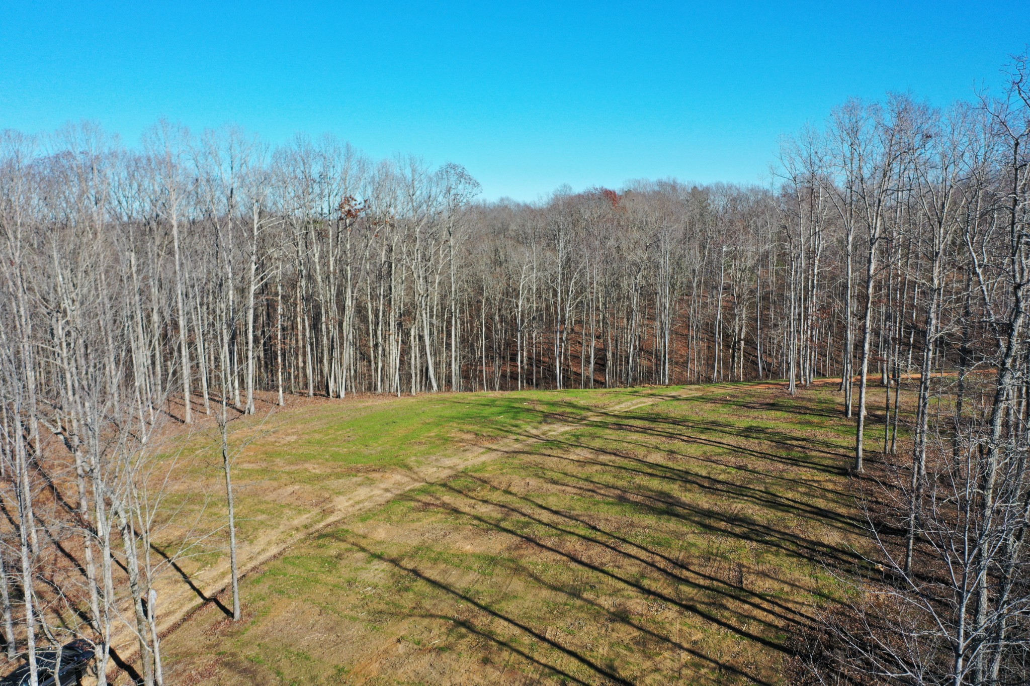 0 Bell Branch Road Nunnelly, TN 37137 - Photo 5 of 22 a view of a backyard