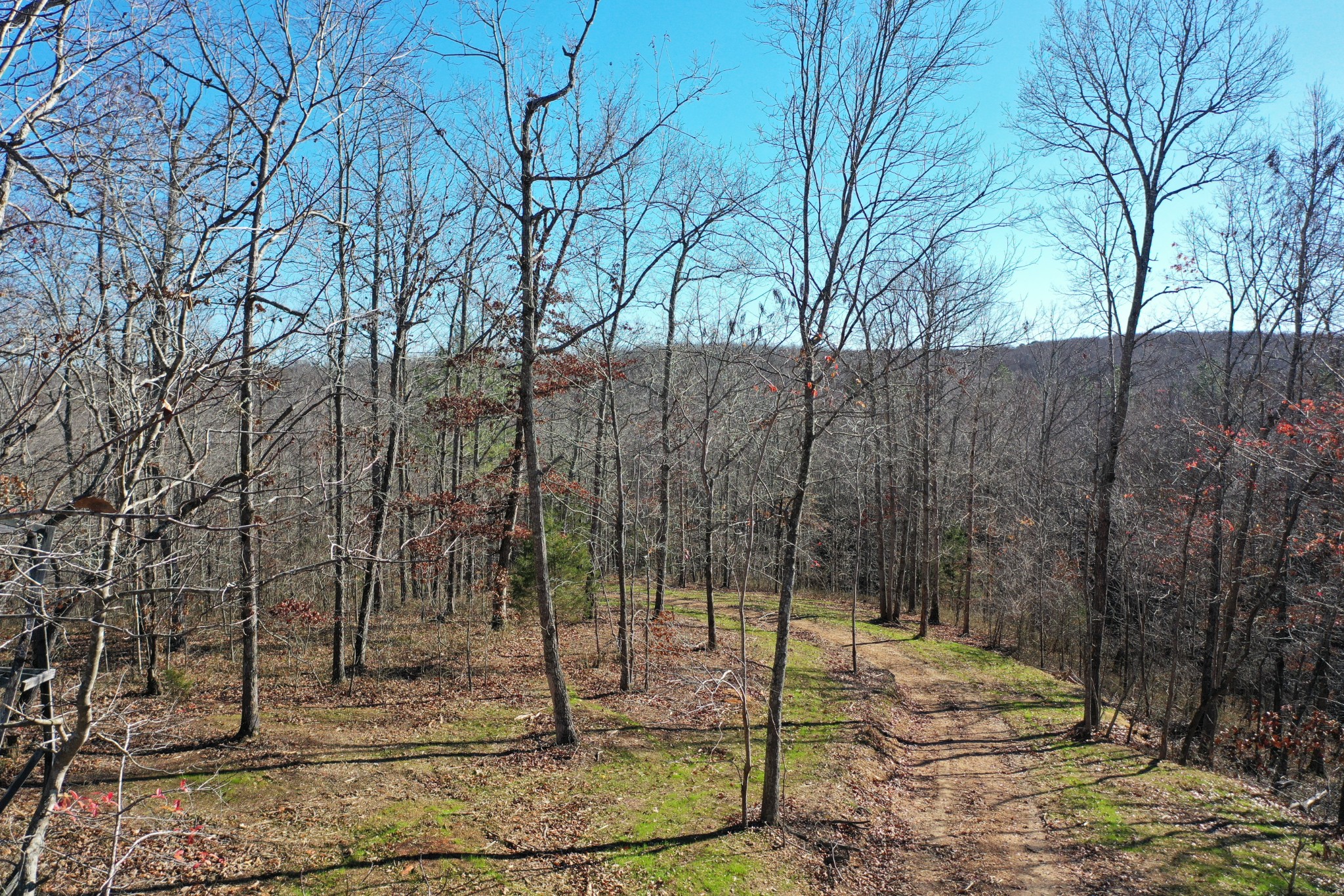 0 Bell Branch Road Nunnelly, TN 37137 - Photo 6 of 22 a backyard of a house