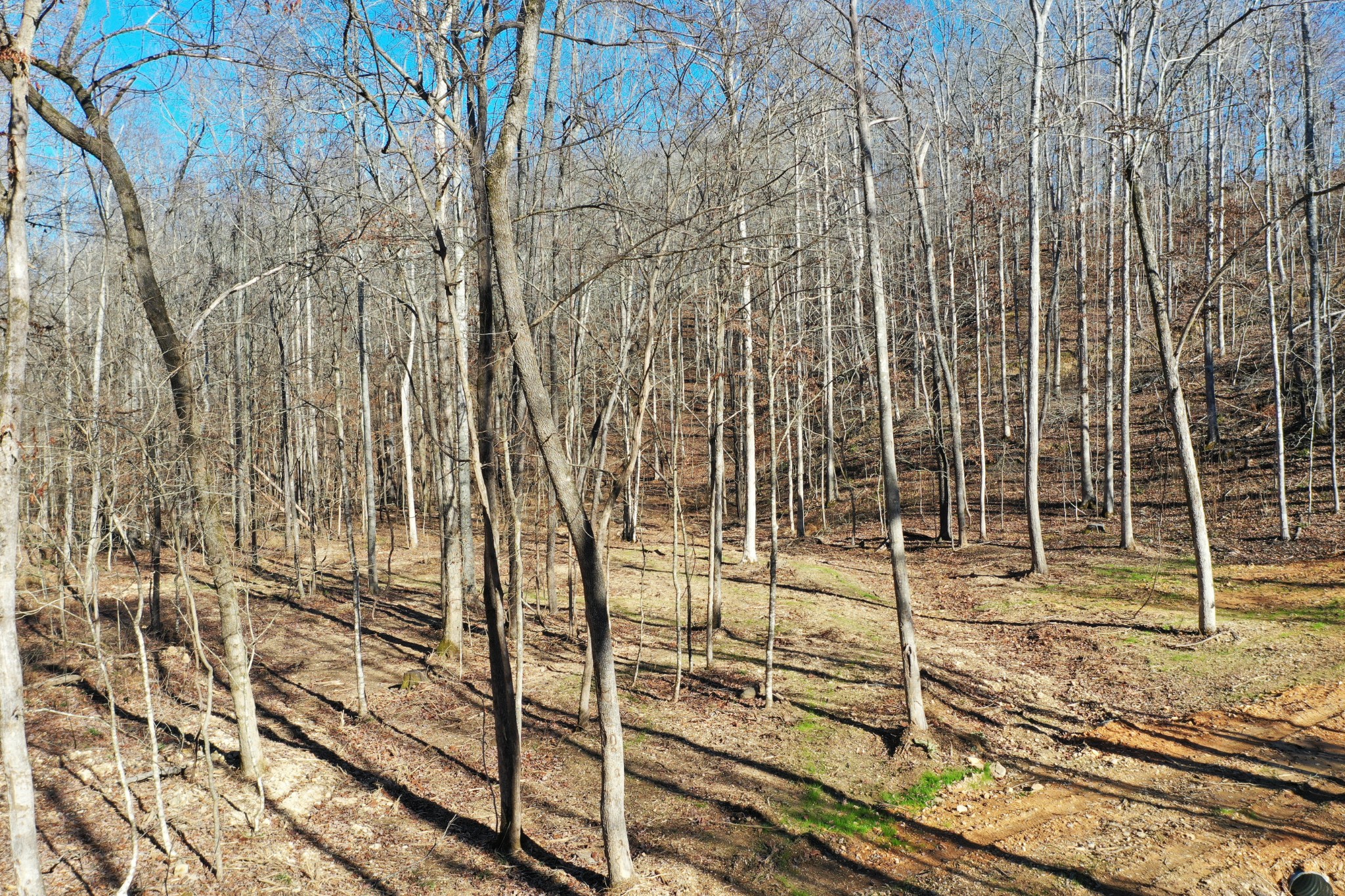 0 Bell Branch Road Nunnelly, TN 37137 - Photo 8 of 22 a view of a glass door