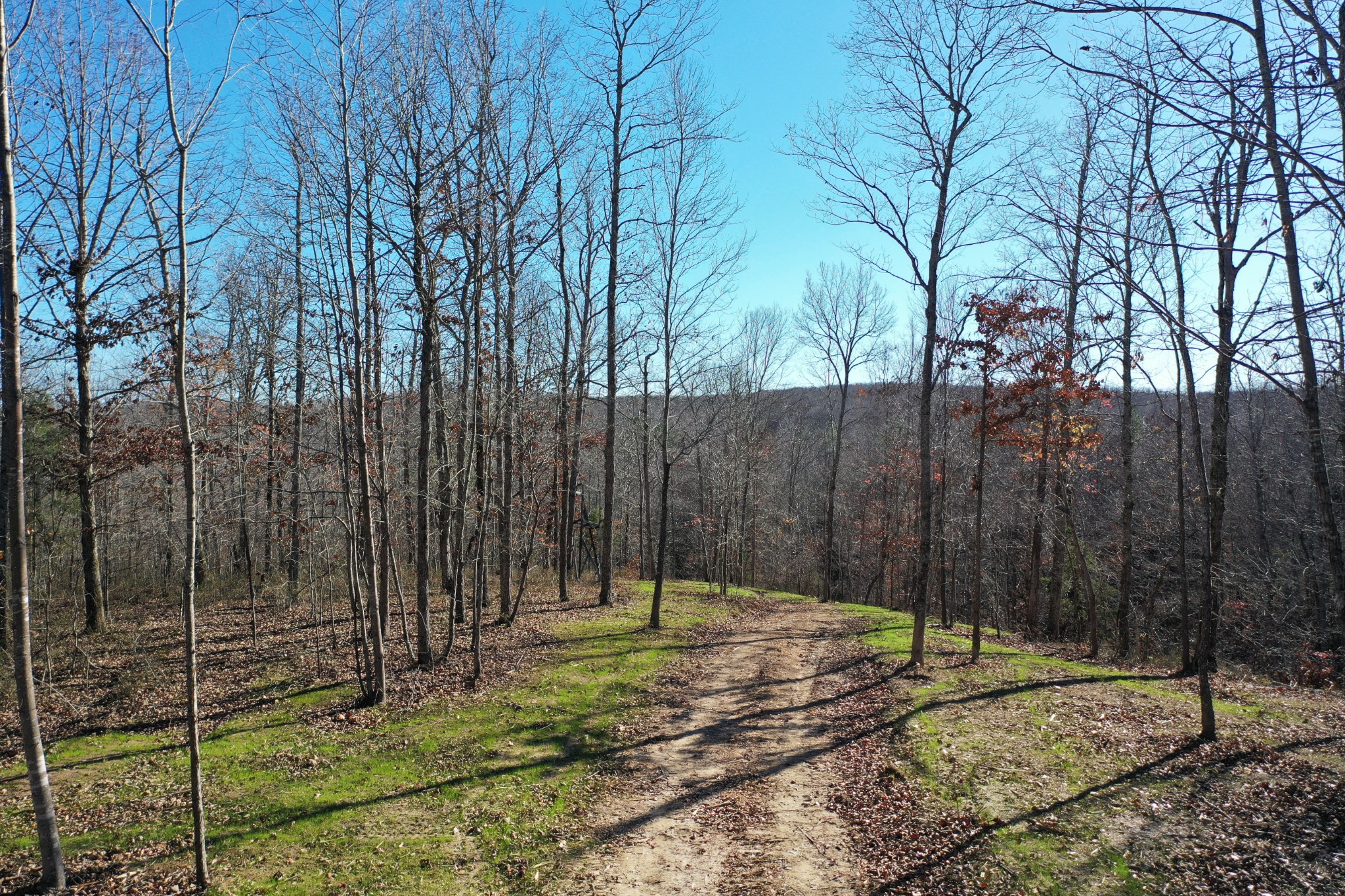 0 Bell Branch Road Nunnelly, TN 37137 - Photo 9 of 22 a backyard of a house