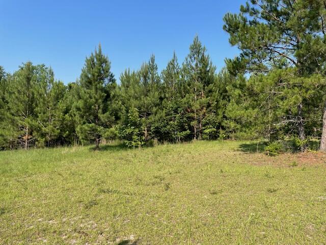 0 Old River Road Elloree, SC 29047 - Photo 2 of 8 IMG_2816