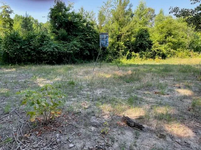 $450,000 | 0 Old River Road, Elloree, SC 29047