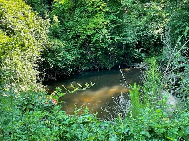 $450,000 | 0 Old River Road, Elloree, SC 29047