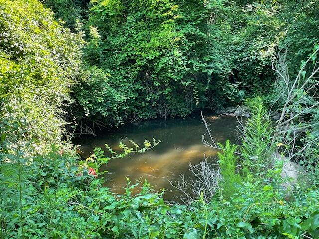 0 Old River Road Elloree, SC 29047 - Photo 5 of 8 IMG_2822