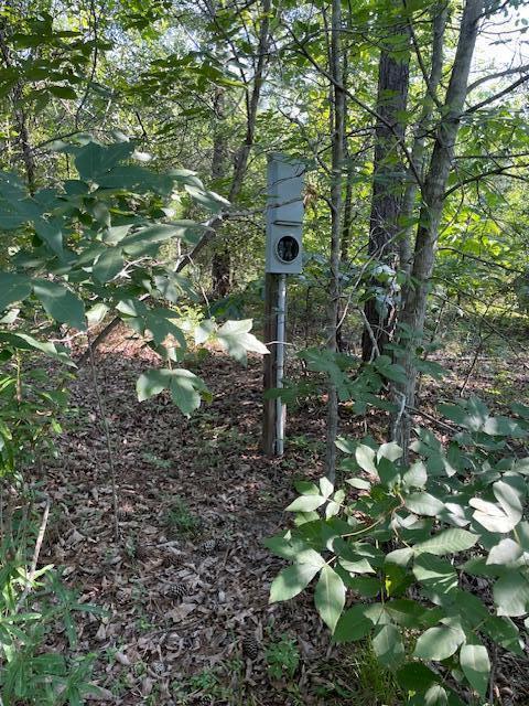 0 Old River Road Elloree, SC 29047 - Photo 6 of 8 IMG_2818 (1)