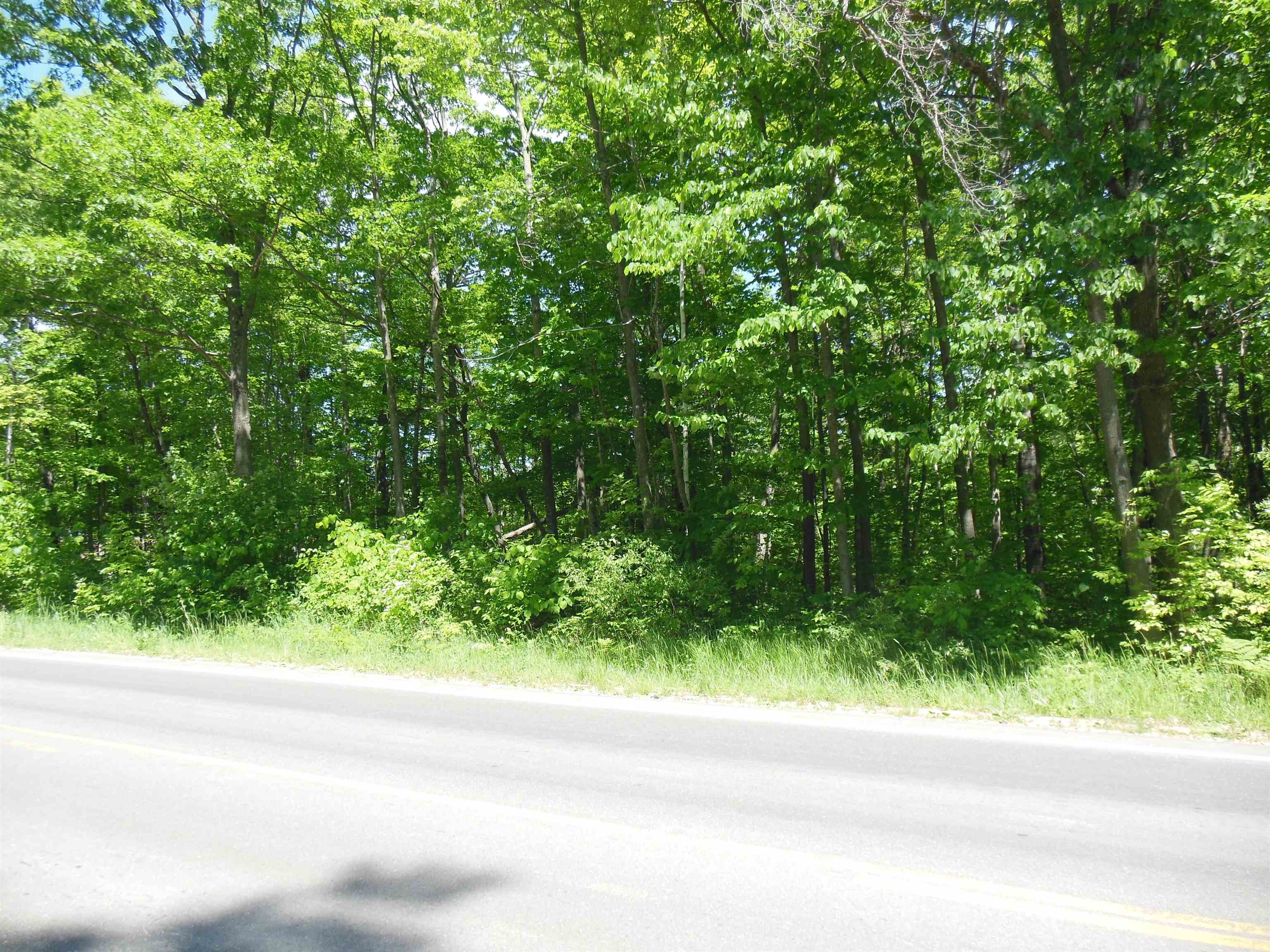 Lot 26 Rodgers Road Harrison, MI 48625 - Photo 6 of 7