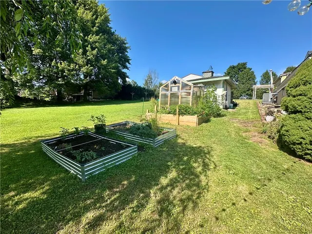 a view of a big yard with potted plants and large trees