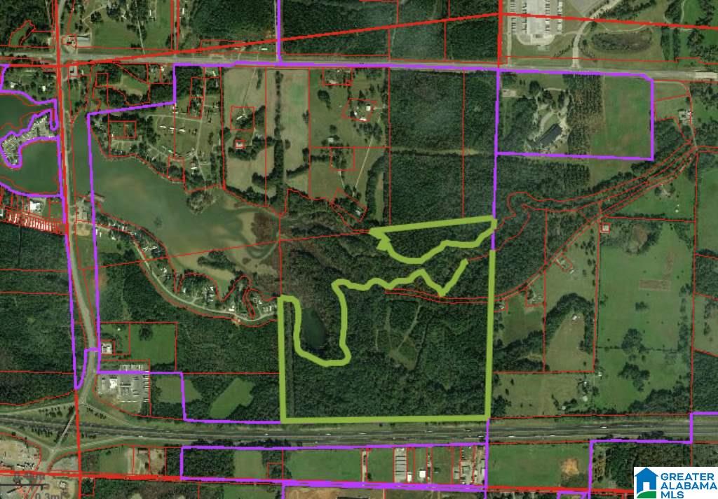 0 Blue Eye Springs Road, Unit 1 Lincoln, AL 35096 - Photo 4 of 24