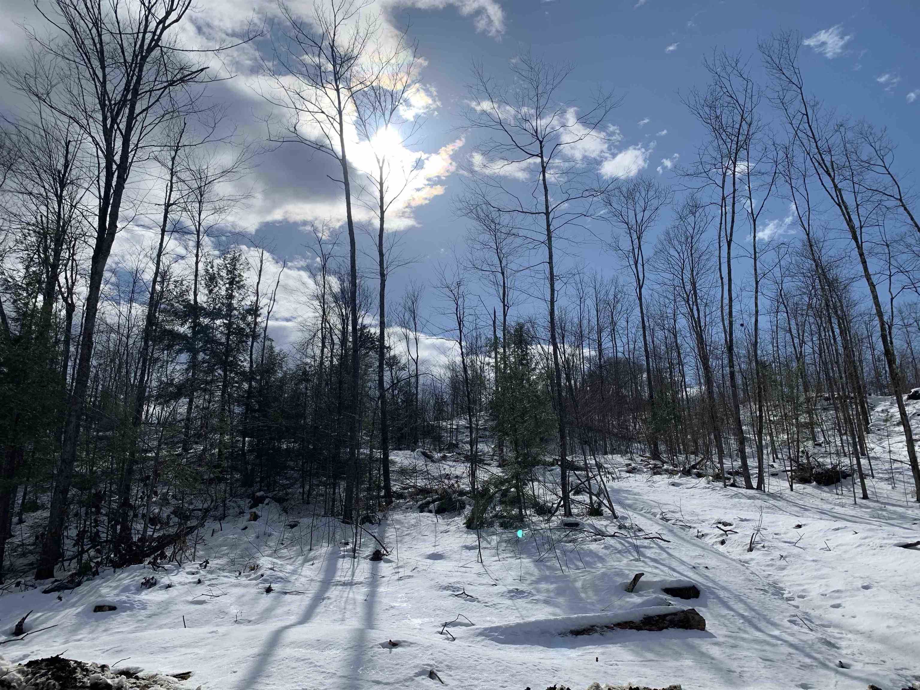 2a Pratt Road Alstead, NH 03602 - Photo 11 of 39