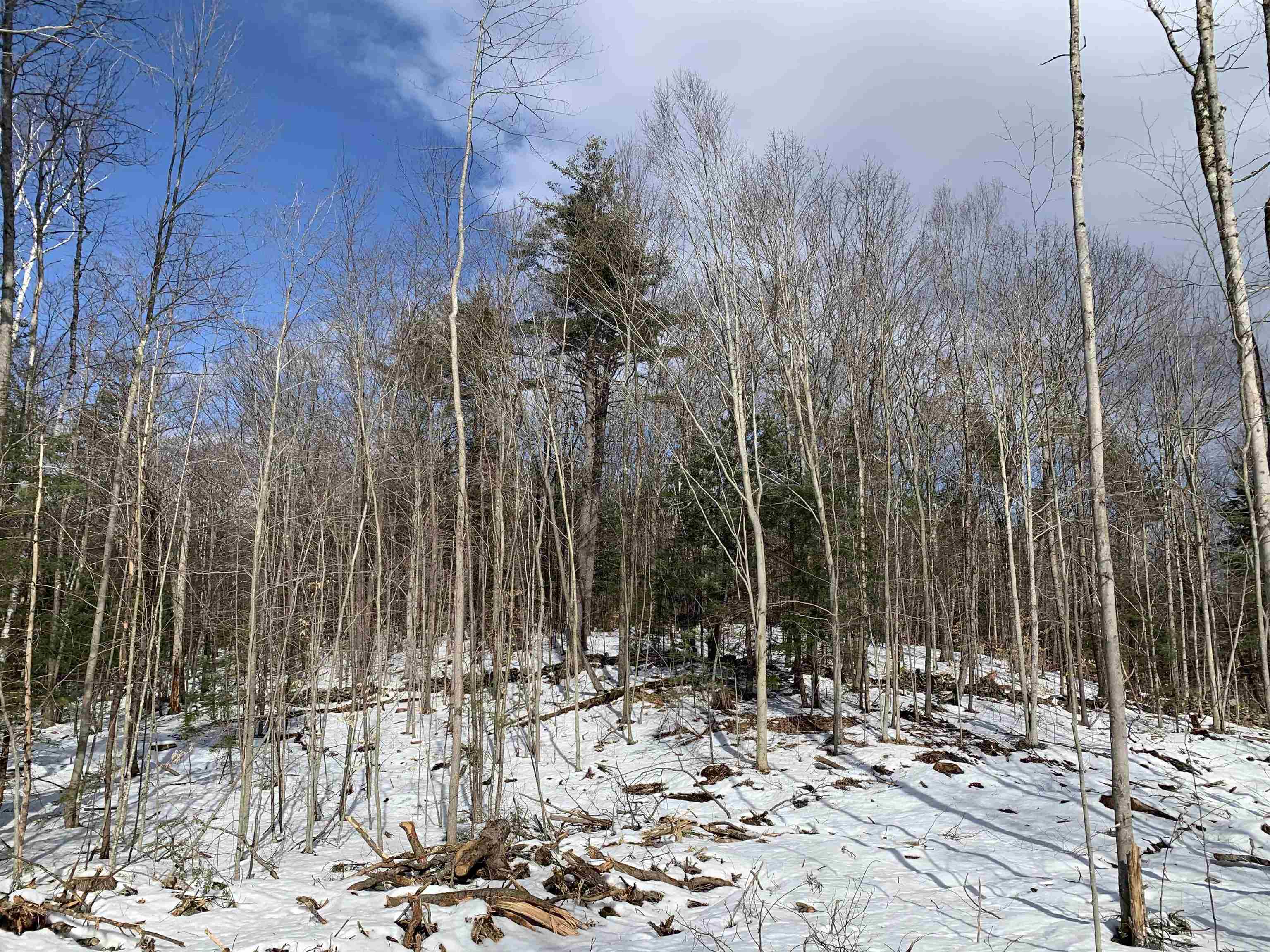 2a Pratt Road Alstead, NH 03602 - Photo 14 of 39