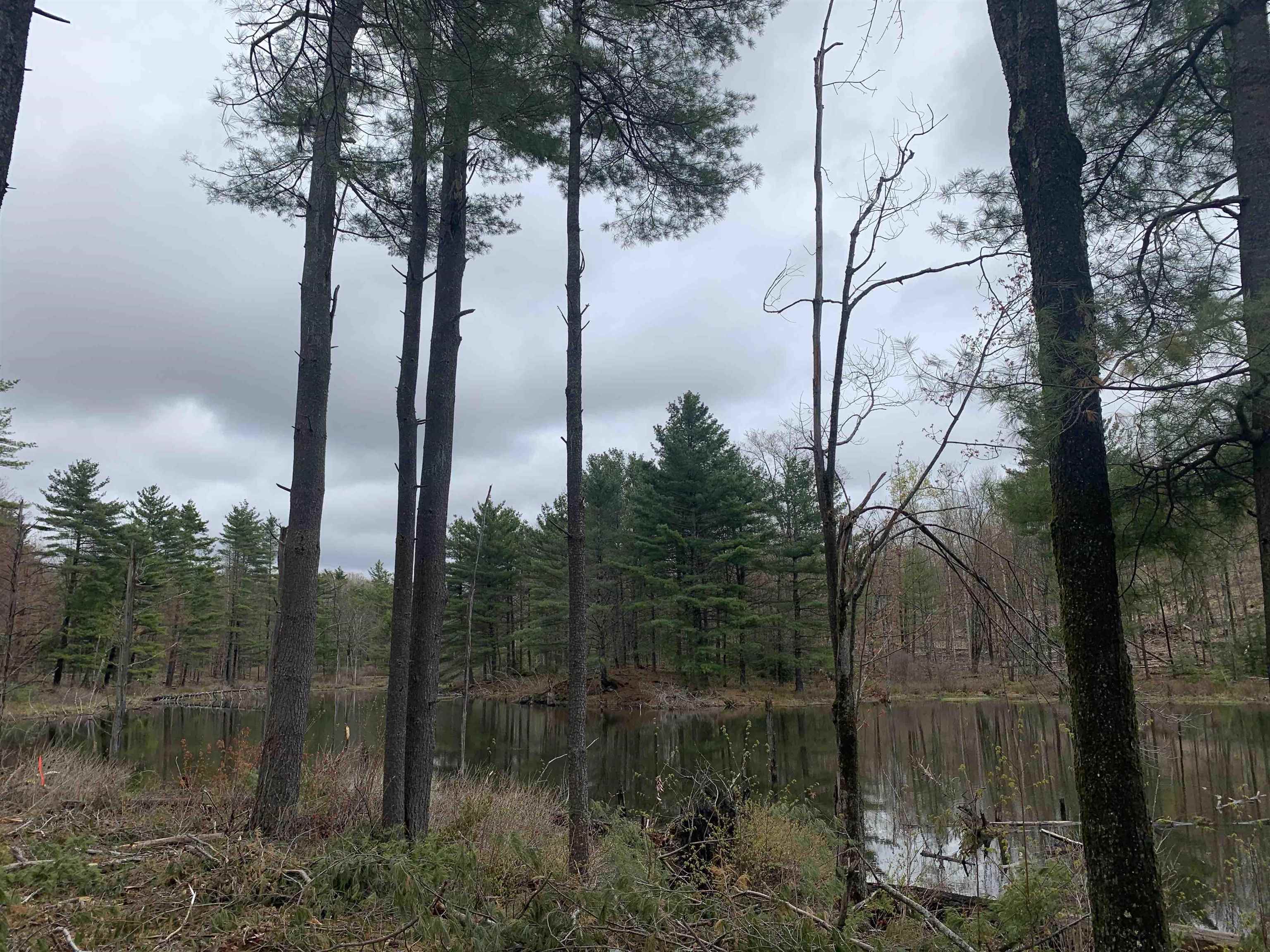 2a Pratt Road Alstead, NH 03602 - Photo 2 of 39
