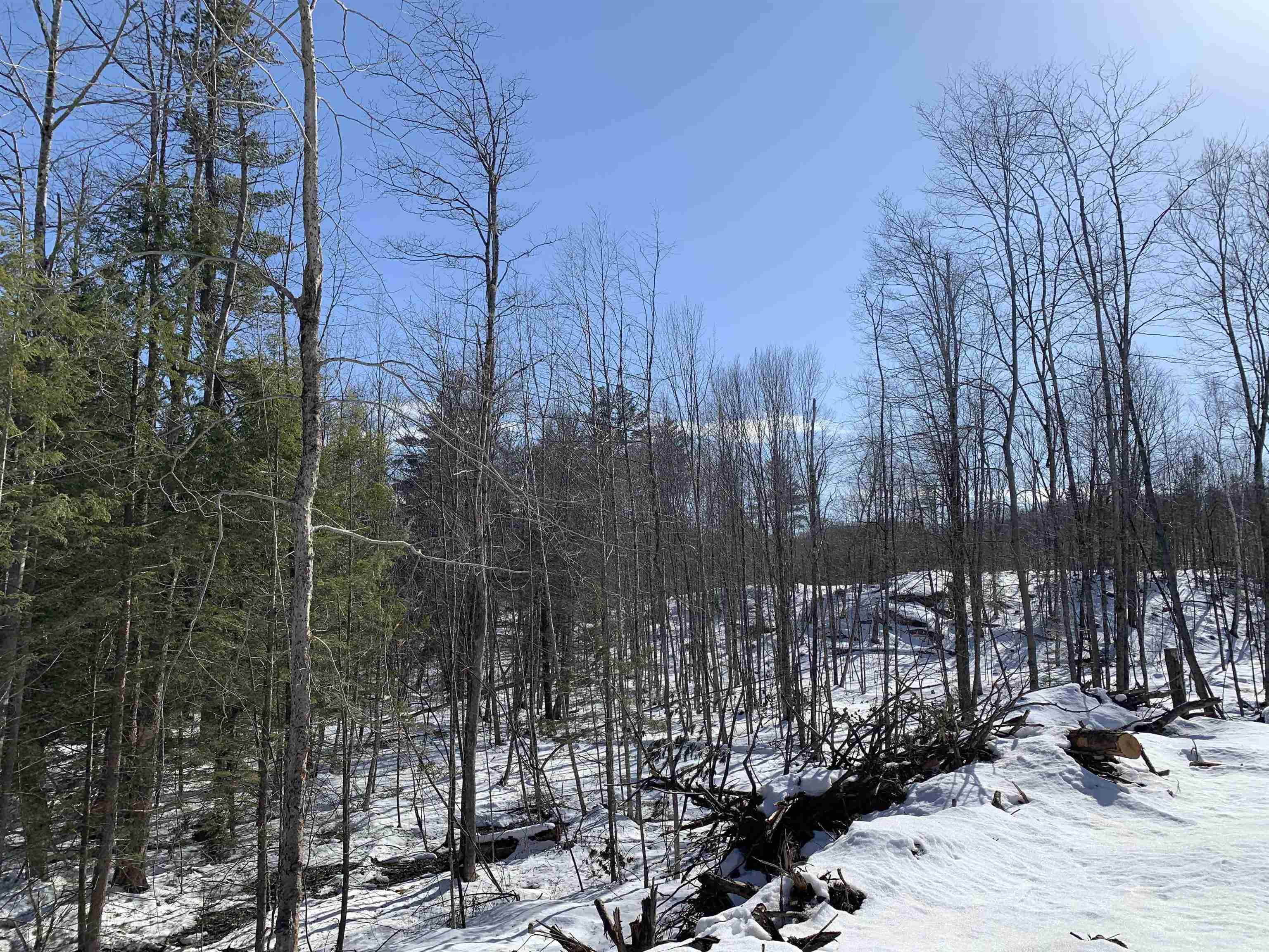 2a Pratt Road Alstead, NH 03602 - Photo 22 of 39