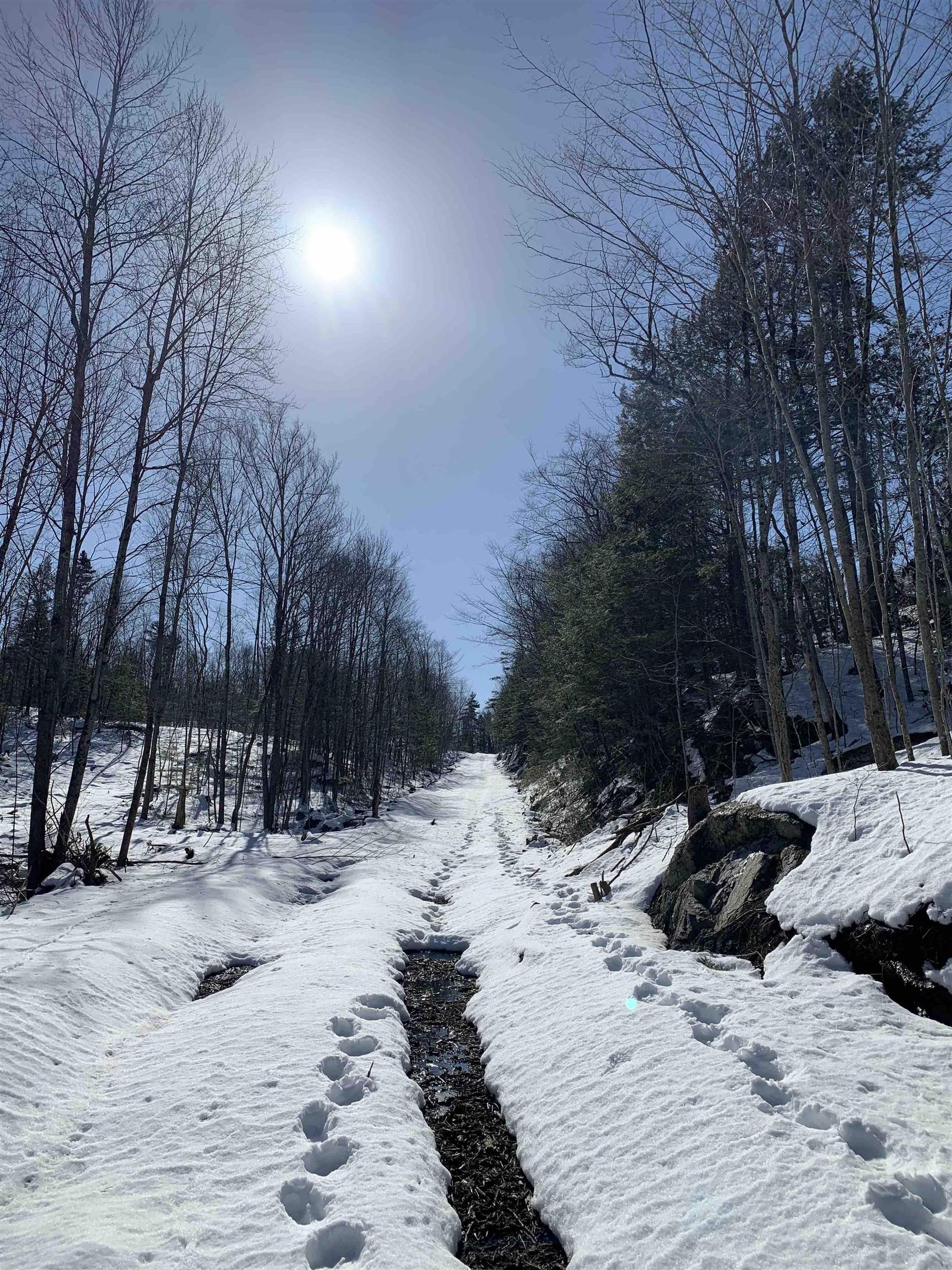 2a Pratt Road Alstead, NH 03602 - Photo 24 of 39