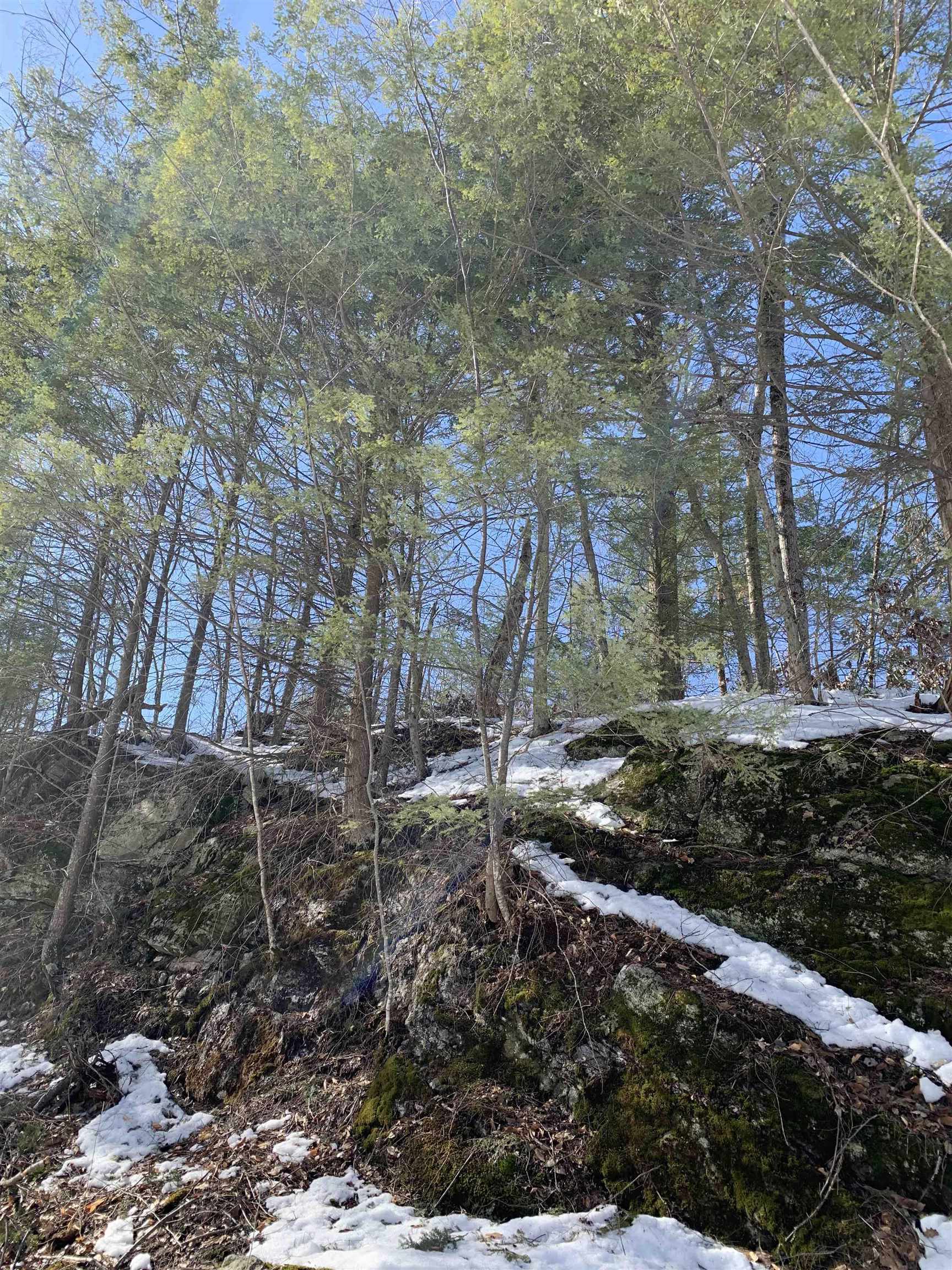 2a Pratt Road Alstead, NH 03602 - Photo 25 of 39